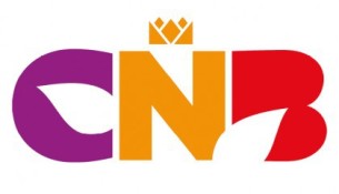 News image: Koninklijk logo